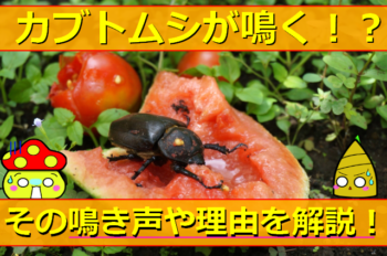 Thumbnail of post image 138